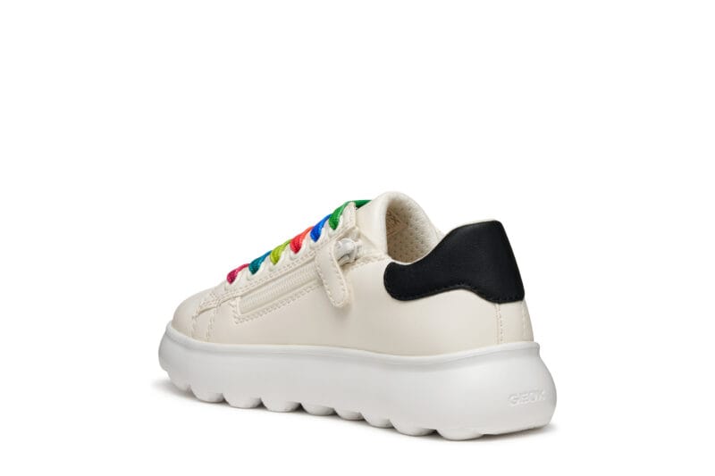 Geox Δερμάτινο Ανατομικό Sneaker Για Κορίτσι Λευκό Με Πολύχρωμα Κορδόνια - Image 5